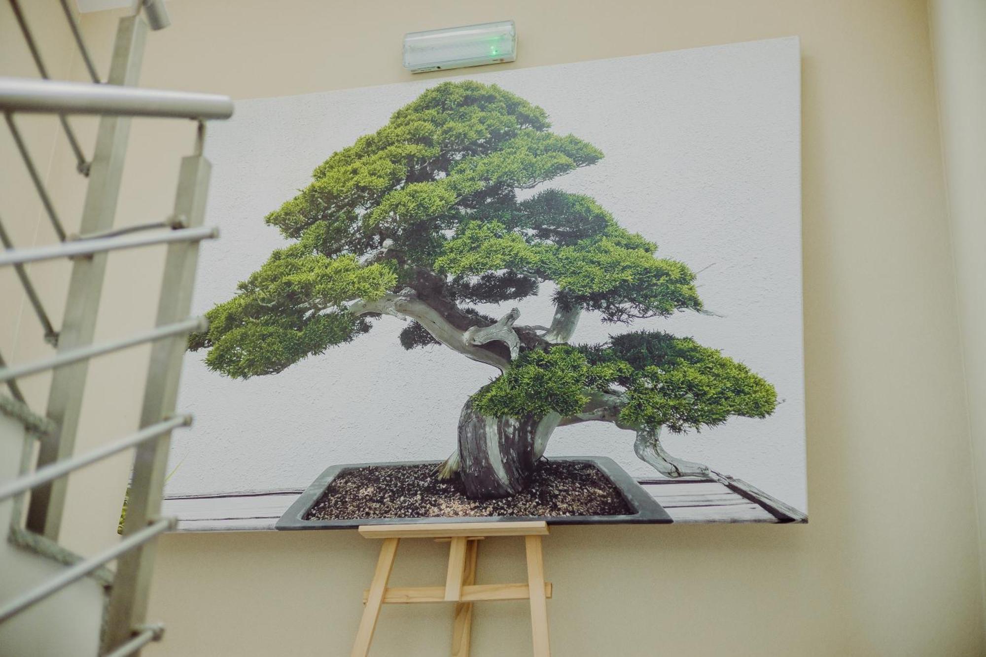Hotel Bonsai Niemcza Eksteriør billede
