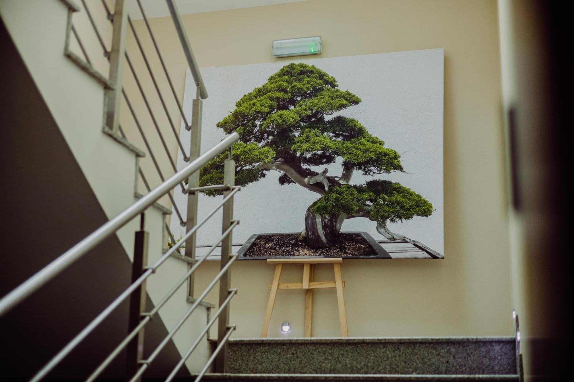 Hotel Bonsai Niemcza Eksteriør billede