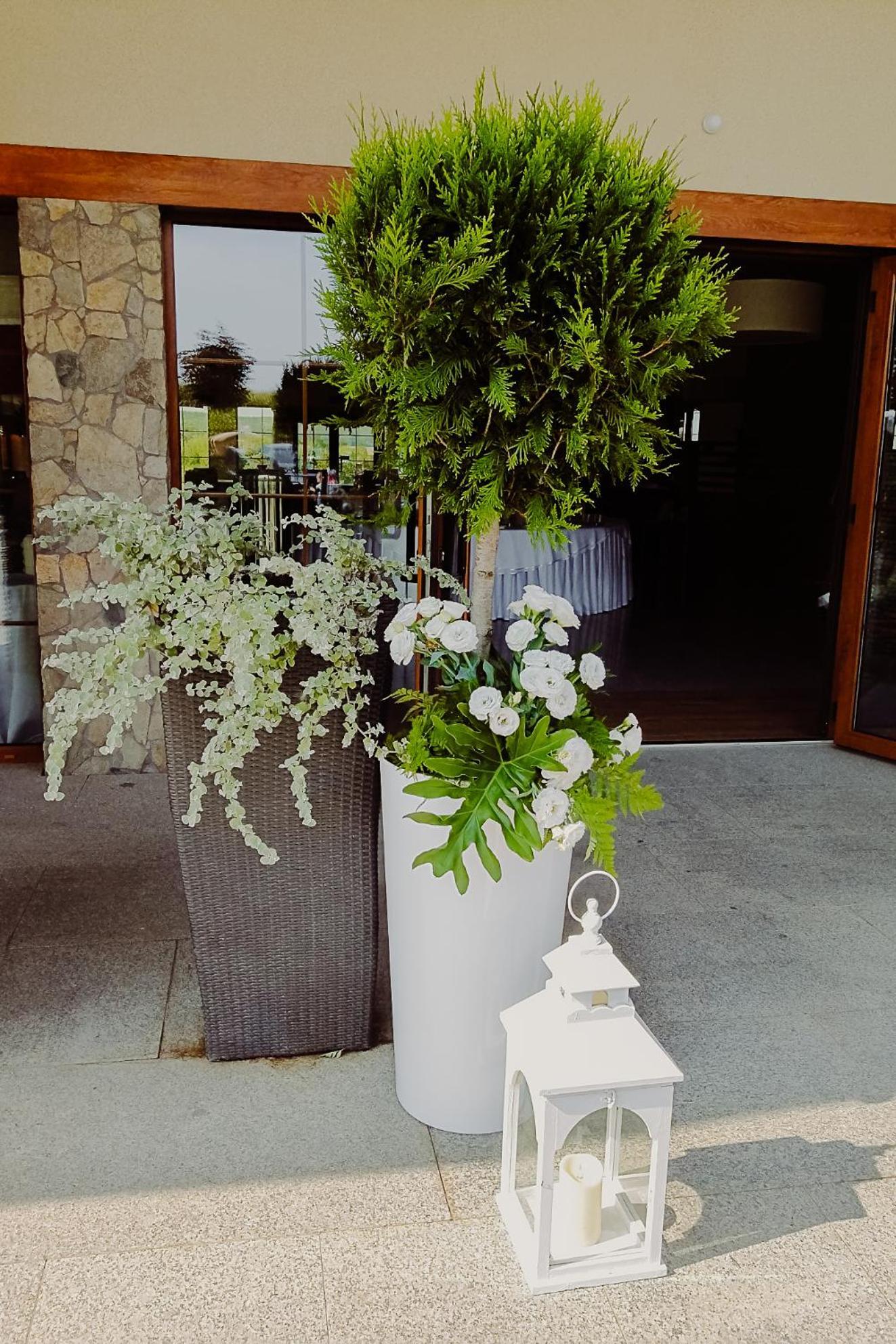 Hotel Bonsai Niemcza Eksteriør billede